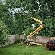 Best Hazardous Tree Removal  in Pablo, MT